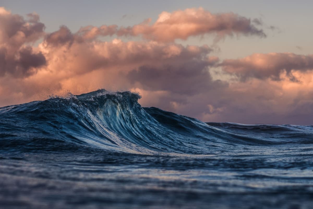 Bahamas: 5 Experiences Beyond Nassau's Cable Beach