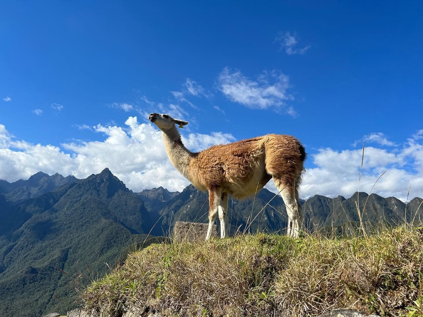 Arrive at Machu Picchu's Sun Gate at sunrise — not the main entrance